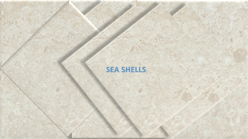 SEA SHELLS STONE — Greek marble, factory direct