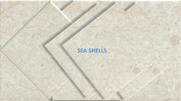 SEA SHELLS STONE — Greek marble, factory direct