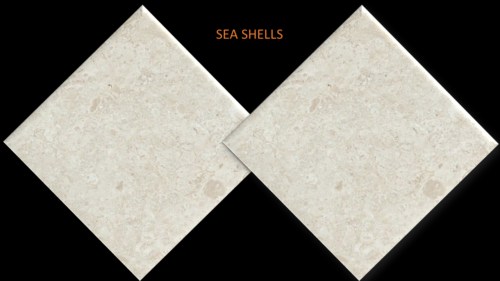 SEA SHELLS STONE — Greek marble, factory direct